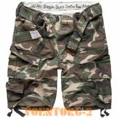 ����� Division Surplus | ���� Woodland